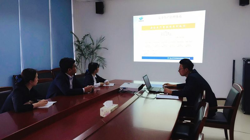K12在线教育系统开发成本：影响因素与优化策略